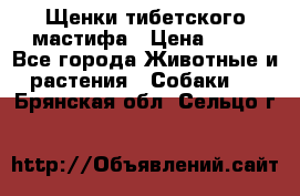 Щенки тибетского мастифа › Цена ­ 80 - Все города Животные и растения » Собаки   . Брянская обл.,Сельцо г.